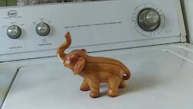 elephant on washer photo